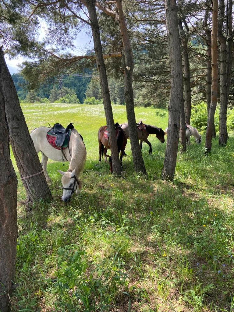 Tezh Ler Resort Shahumyan ภายนอก รูปภาพ